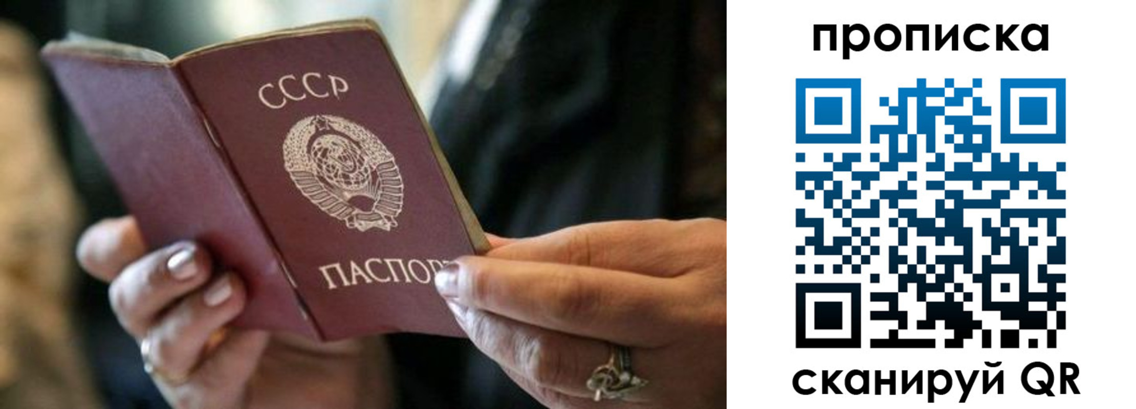 пропишу в квартире в Зеленоградске